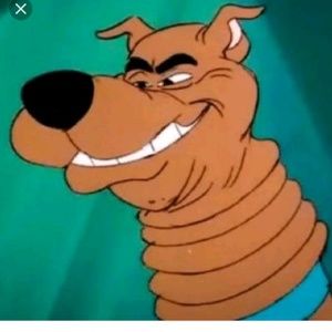 Meet your Posher, Jake